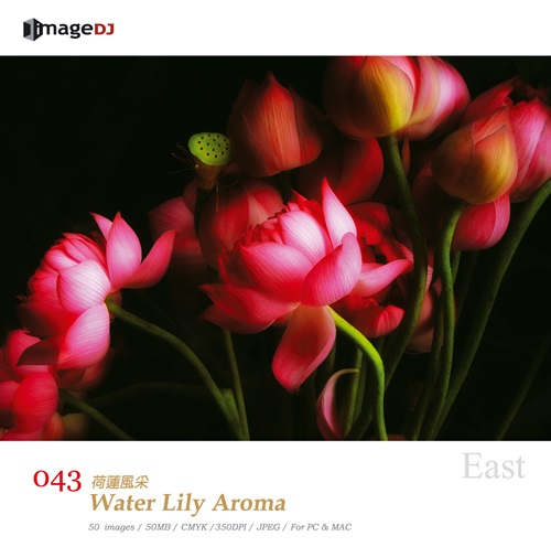 Water Lily Aroma