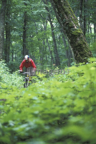 young woman mountain biking on Minnesing Trail, Algonquin Park, Ontario, Canada