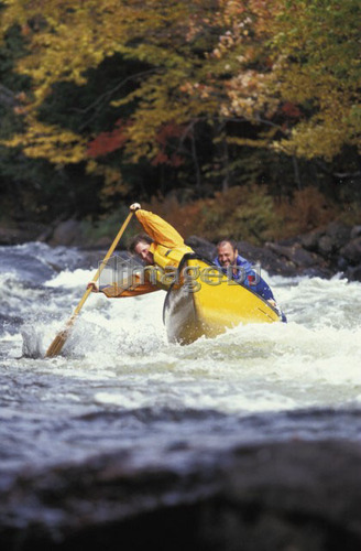 couple paddle whitewater canoe through rapids on Oxtongue river, Ontario, Canada