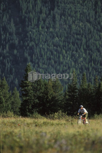 young man mountain biking on Wigwam Flats  near Fernie, BC, Canada