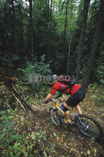 young man mountain biking on Big Trouble, Little Chainring, Fernie, BC, Canada