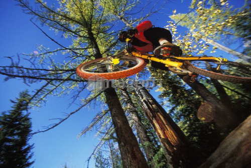 young man catches air on mountain bike near Fernie, BC, Canada