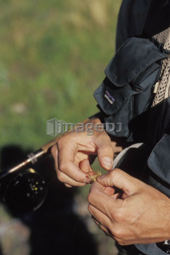 Young man tying fly while fly fishing on Crowsnest river, Crowsnest Pass, Alberta, Canada.