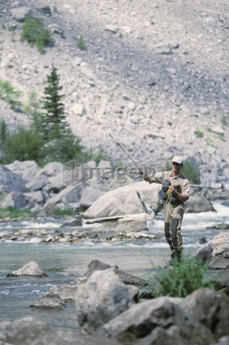 Young man fly fishing on Crowsnest river, Crowsnest Pass, Alberta, Canada.