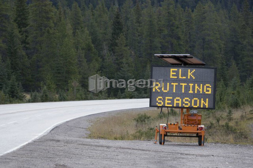 Temporary warning sign posted along highway during Elk rutting season, Jasper National Park, Alberta, Canada.