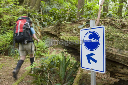 Woman (20-25) hiking past a sign saying Tsunami with an arrow in an old-growth coastal forest, Pacific Rim National Park, B.C.