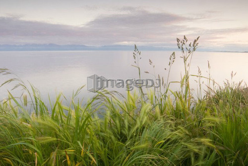 Grassy slope in front of ocean and mountains, Victoria, Vancouver Island, B.C.