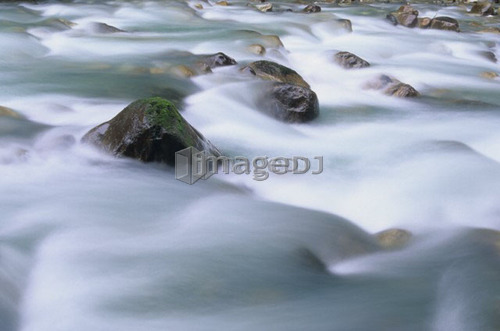 Water flowing over rocks on a creek, motion blur, Earl Grey Creek, East Kootenays, B.C.