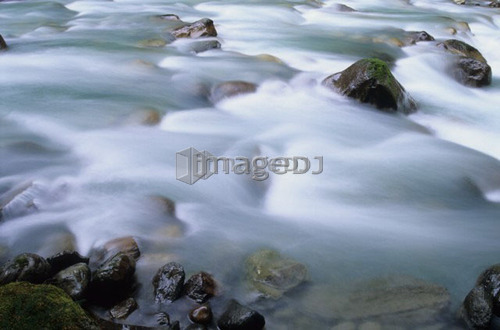 Water flowing over rocks on a creek, motion blur, Earl Grey Creek, East Kootenays, B.C.
