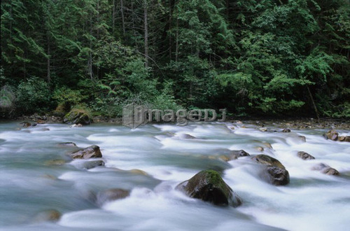 Water flowing over rocks on a creek, motion blur, Earl Grey Creek, East Kootenays, B.C.