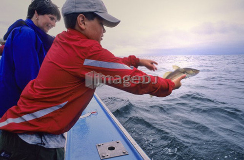 Boy, 12, throws Cod fish back to ocean, PEI
