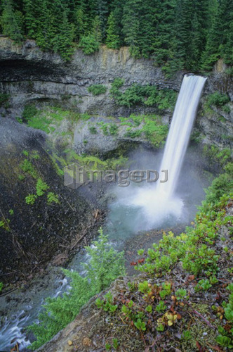 Brandywine Falls, near Whistler, with kinnikinnik plant in front
