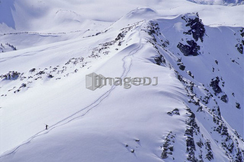 Skier walks up Piccolo Mtn, fresh winter snow, Whistler, B.C.