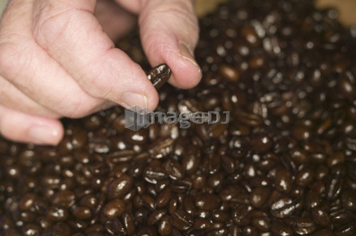 Espresso coffee beans, B.C.