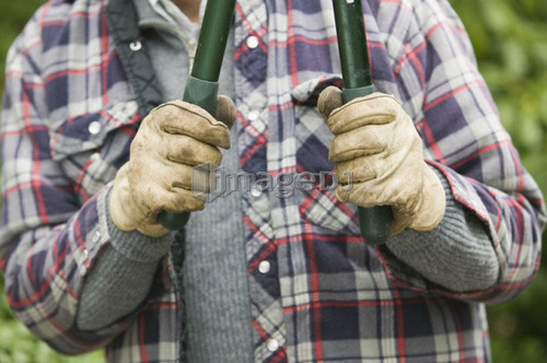 Hands and pruning shears, B.C.