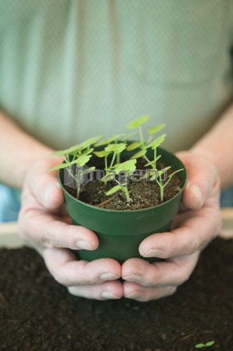 Man Holding Flower Sprouts, Vancouver, B.C.