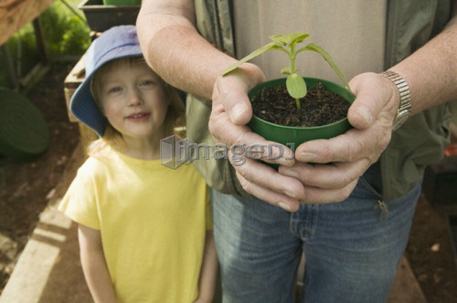 Senior Man Holding a Young Plant With His Granddaughter Nearby, Vancouver, B.C.