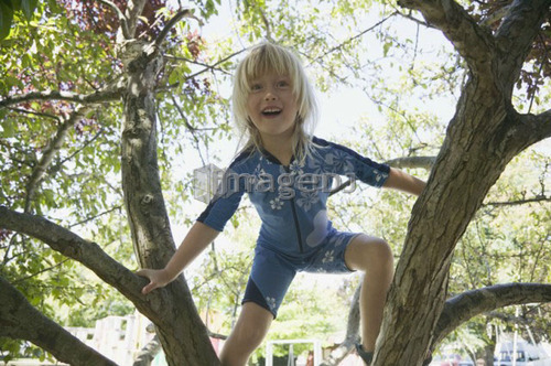 Ganges, Salt Spring Island, BC, Canada. 5 year old girl tree climbing