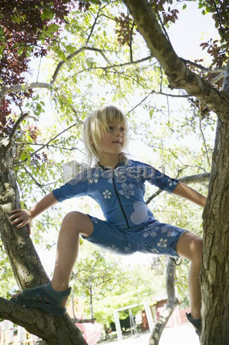 Ganges, Salt Spring Island, BC, Canada. 5 year old girl tree climbing