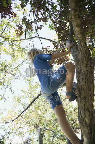 Ganges, Salt Spring Island, BC, Canada. 5 year old girl tree climbing