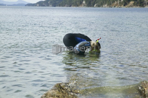 Mom and 5 year old daughter with wetsuits and masks looking into water. Montague Harbour, Galiano Island, BC.