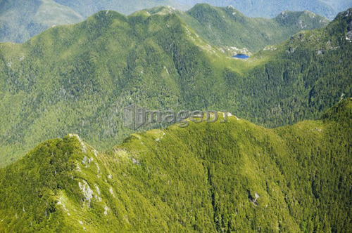 Brooks Peninsula, West Coast, Vancouver Island, British Columbia, Canada