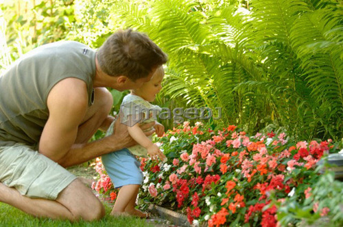 Dad & baby looking at/smelling flowers, Regina, Saskatchewan