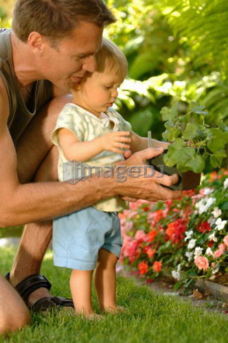 Dad & baby holding plant, Regina, Saskatchewan