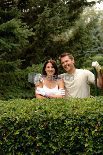 Couple posing behind hedge, Regina, Saskatchewan