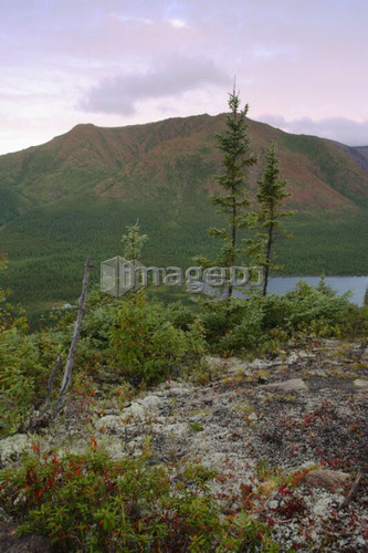 View of Mount Albert from Mount Olivine, Gaspesie National Park, Quebec