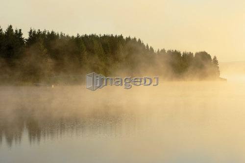 Mist at Étang-à-la-Truite (Trout pond), Gaspe Peninsula, Quebec