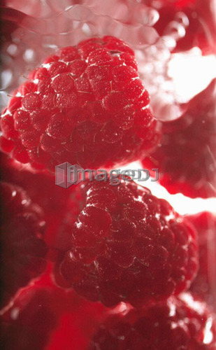 Raspberries floating in water