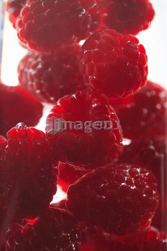 Raspberries floating in water