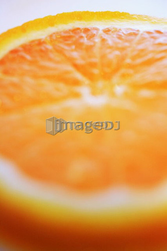 Cross section of orange
