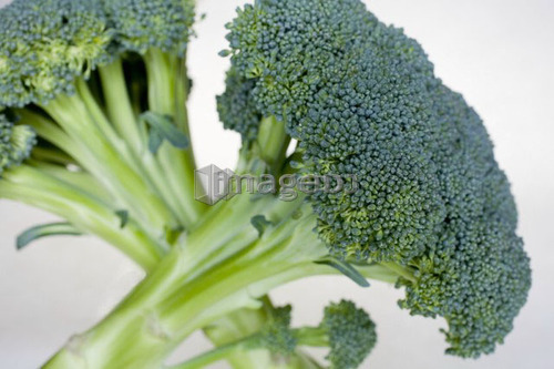 Two bunches of broccoli