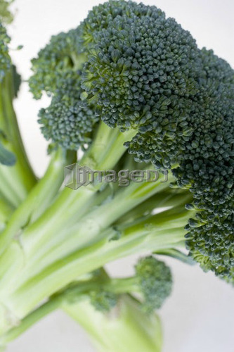 Bunch of broccoli