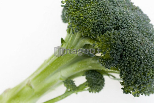 Bunch of broccoli