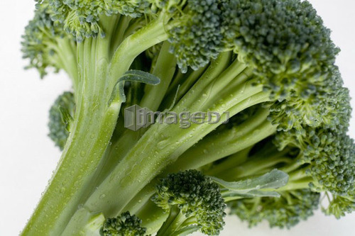 Close-up of broccoli