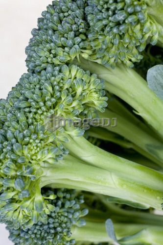 Close-up of broccoli