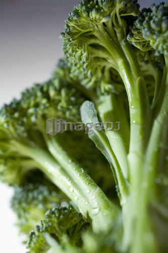 Close-up of broccoli