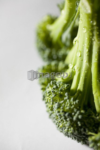 Close-up of section of broccoli