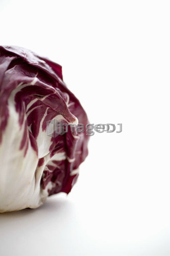 Head of radicchio