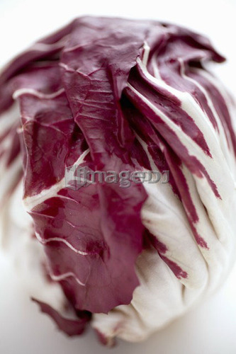 Head of radicchio