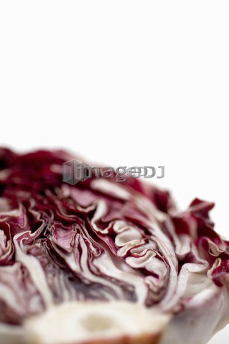 Head of radicchio, cut open