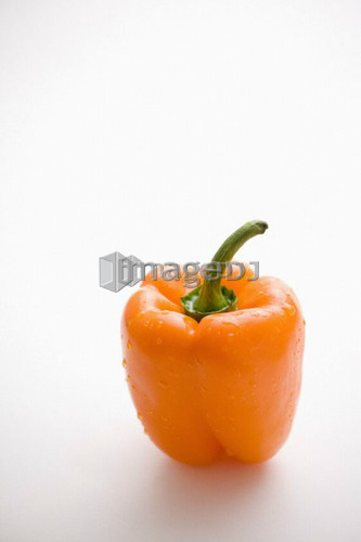 Single orange pepper