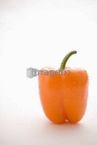 Single orange pepper