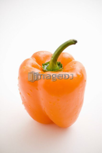 Single orange pepper
