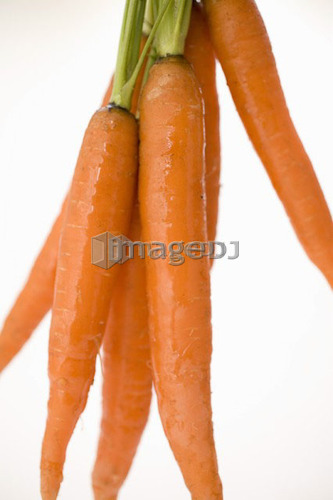 Bunch of carrots hanging vertically