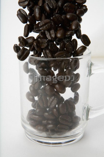 Coffee beans pour into clear coffee cup