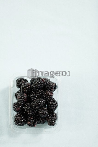 Container of blackberries from above
